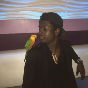 Meet your Posher, Greg